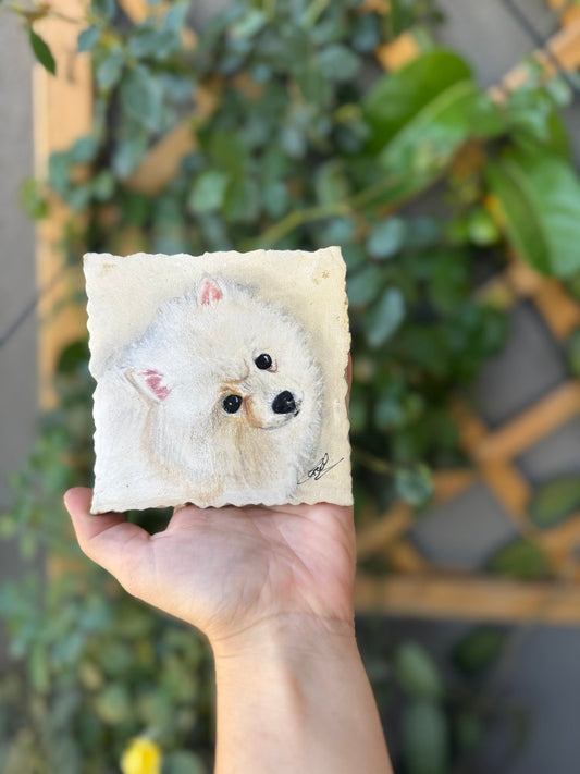 Pet Portraits on Limestone - Art by Caitlin