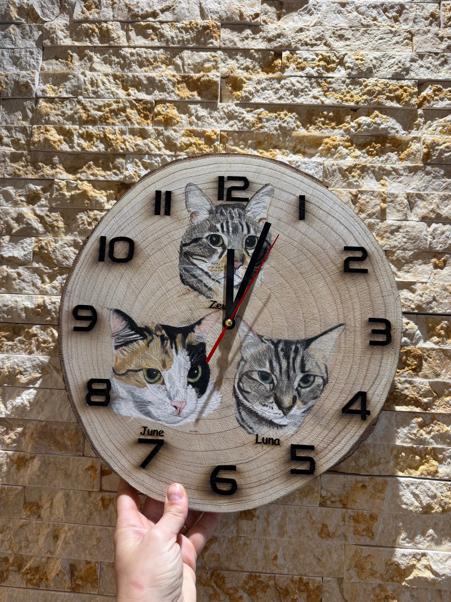 Pet Portraits on Wood (Clock)