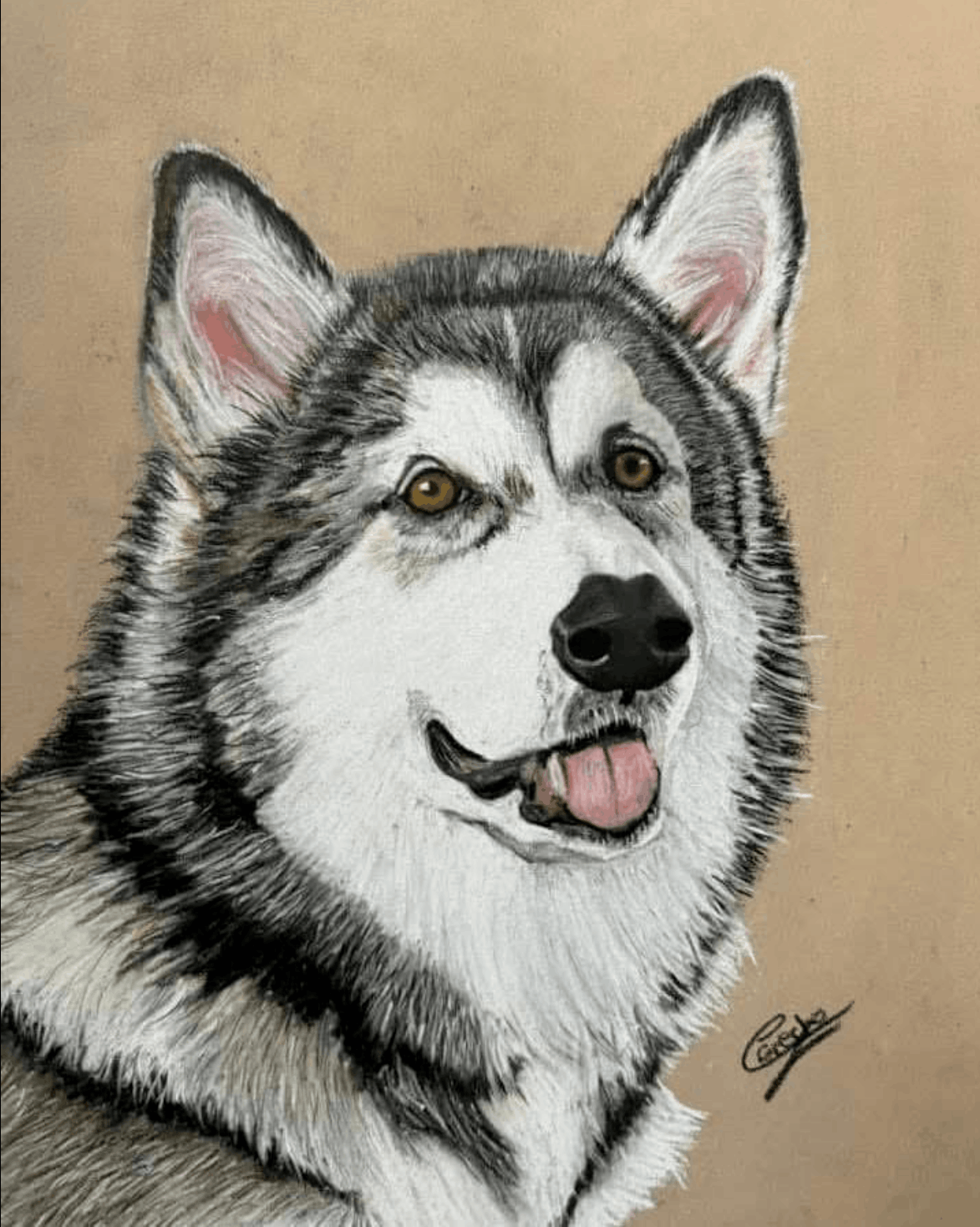 Pet Portraits on Art Paper - Art by Caitlin