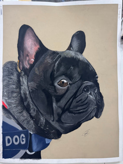 Pet Portraits on Art Paper - Art by Caitlin