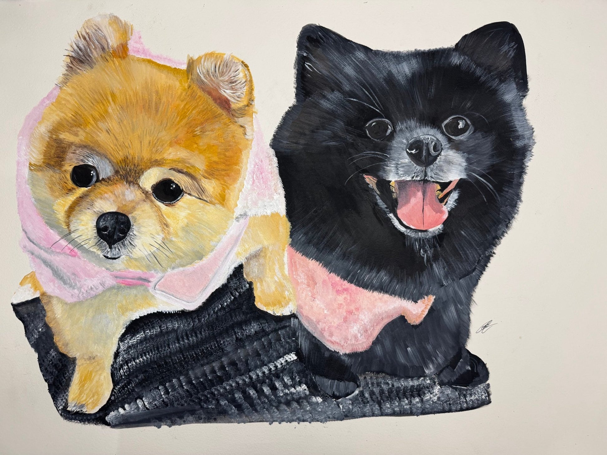 Pet Portraits on Art Paper - Art by Caitlin