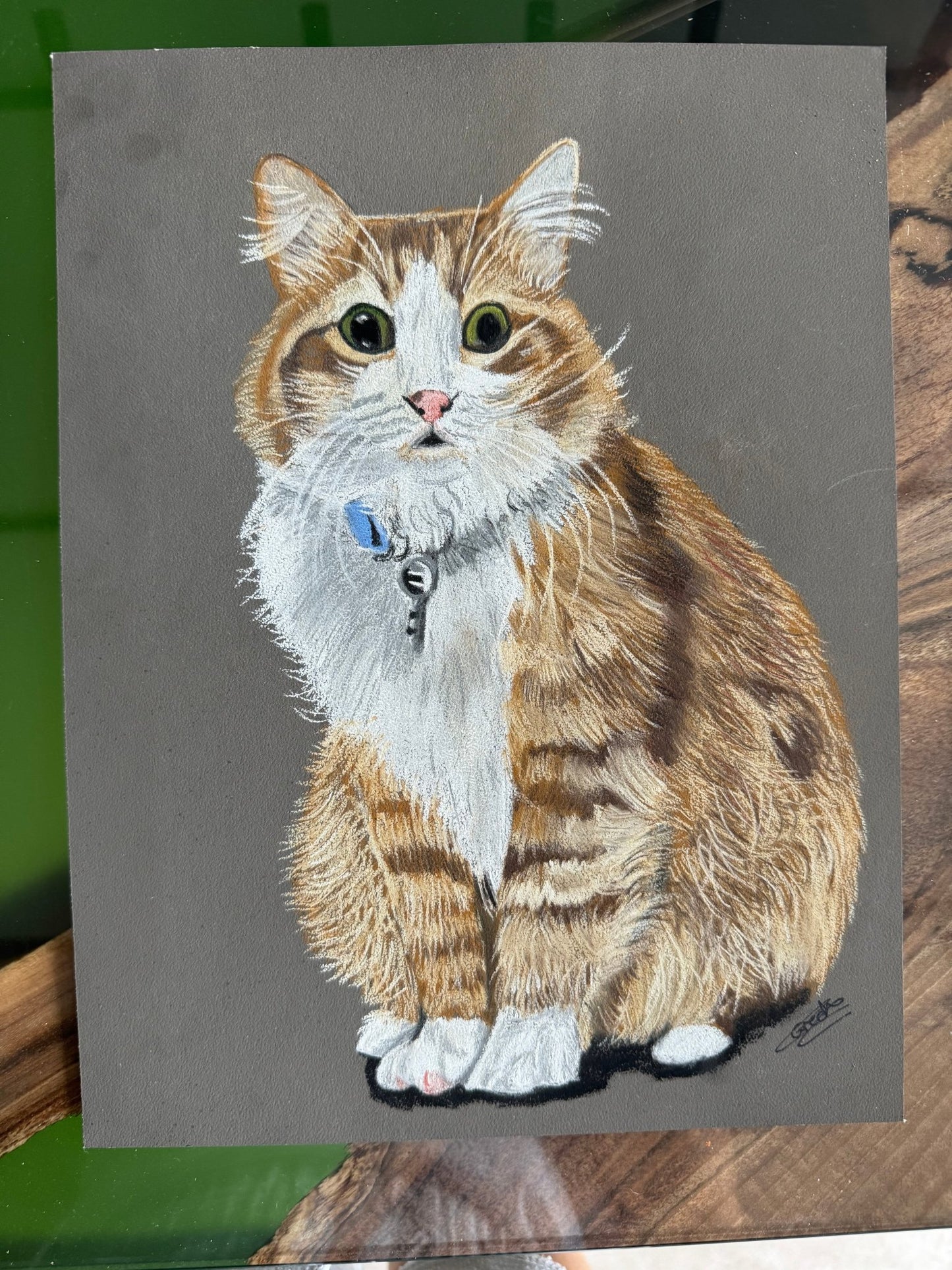 Pet Portraits on Art Paper - Art by Caitlin