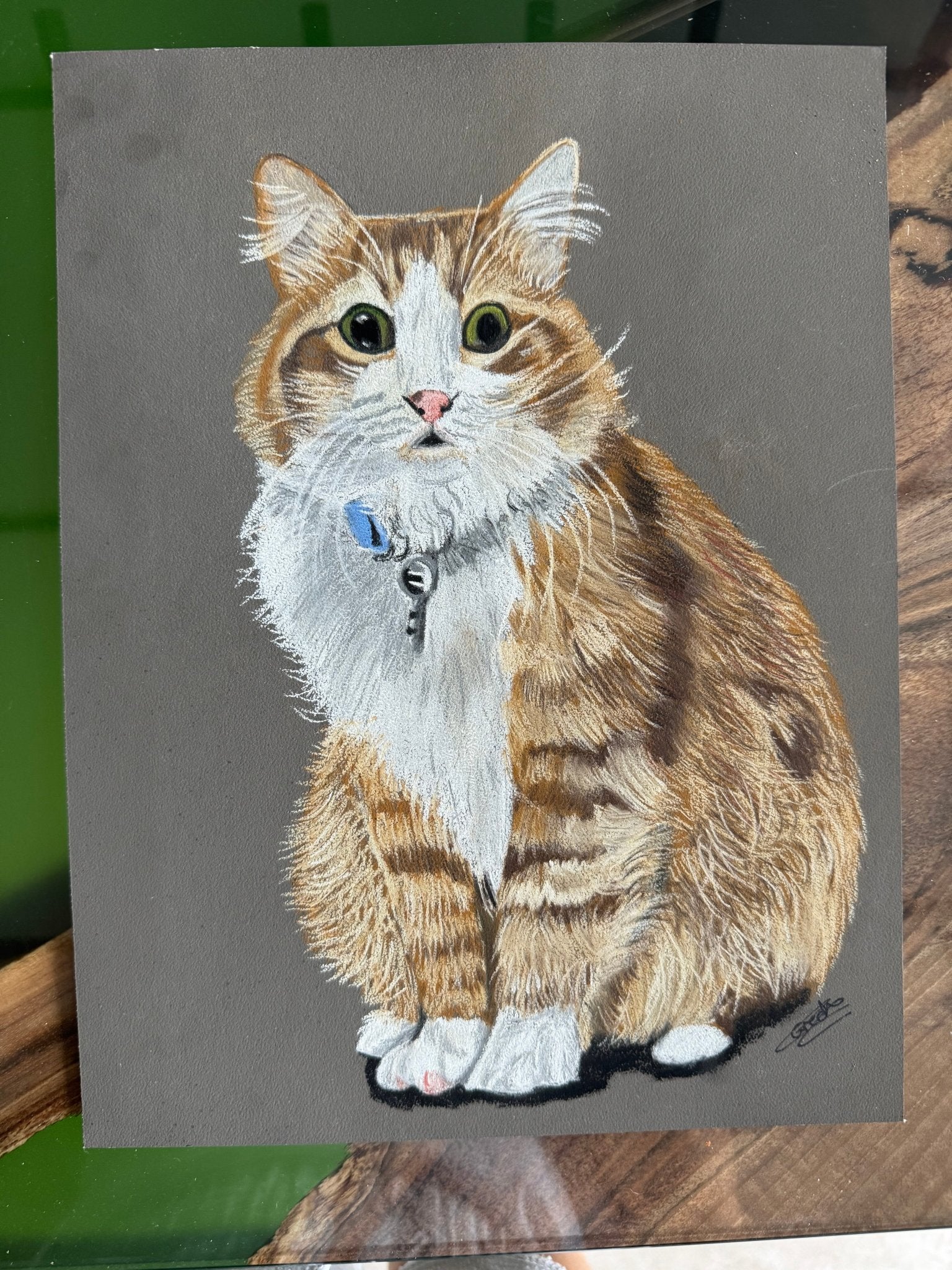 Pet Portraits on Art Paper - Art by Caitlin