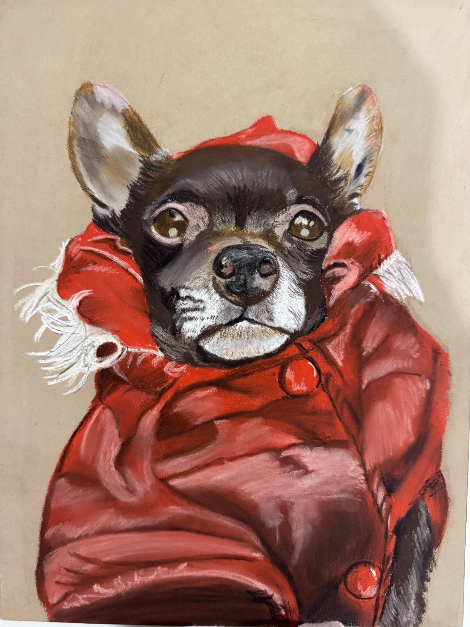 Pet Portraits on Art Paper - Art by Caitlin