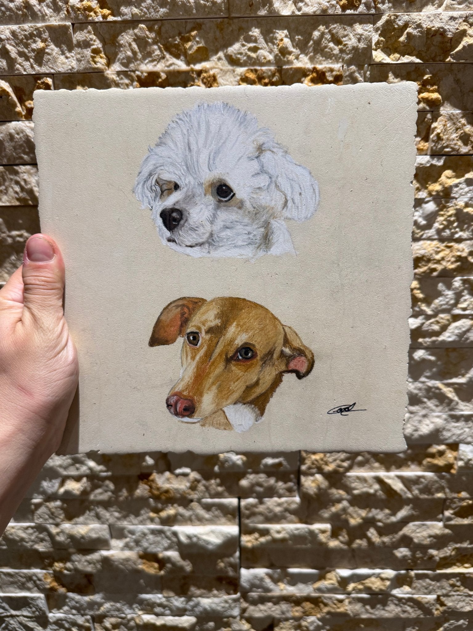 Pet Portraits on Limestone - Art by Caitlin