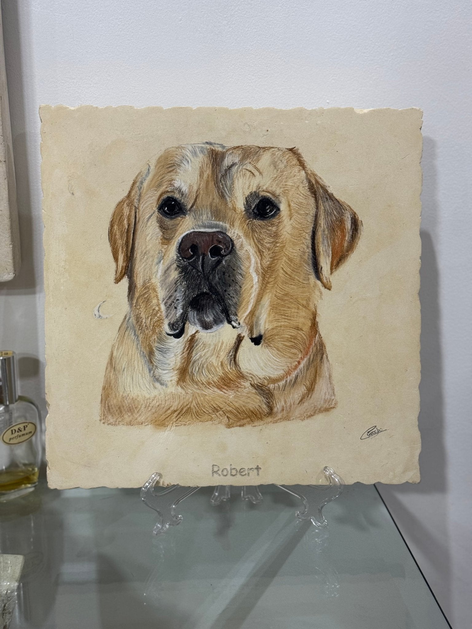 Pet Portraits on Limestone - Art by Caitlin