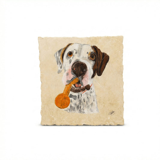 Pet Portraits on Limestone - Art by Caitlin