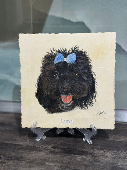 Pet Portraits on Limestone - Art by Caitlin