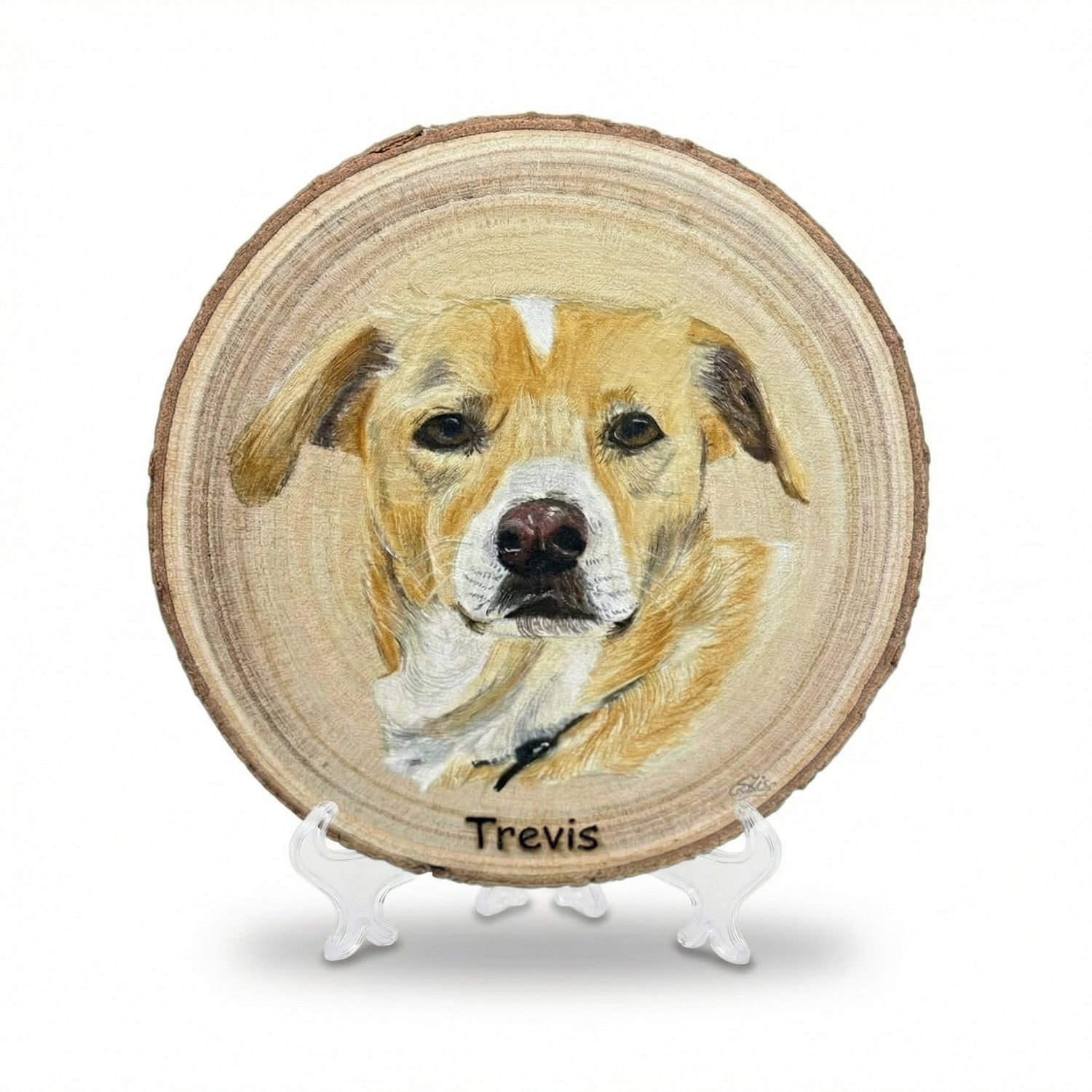 Pet Portraits on Wood - Art by Caitlin