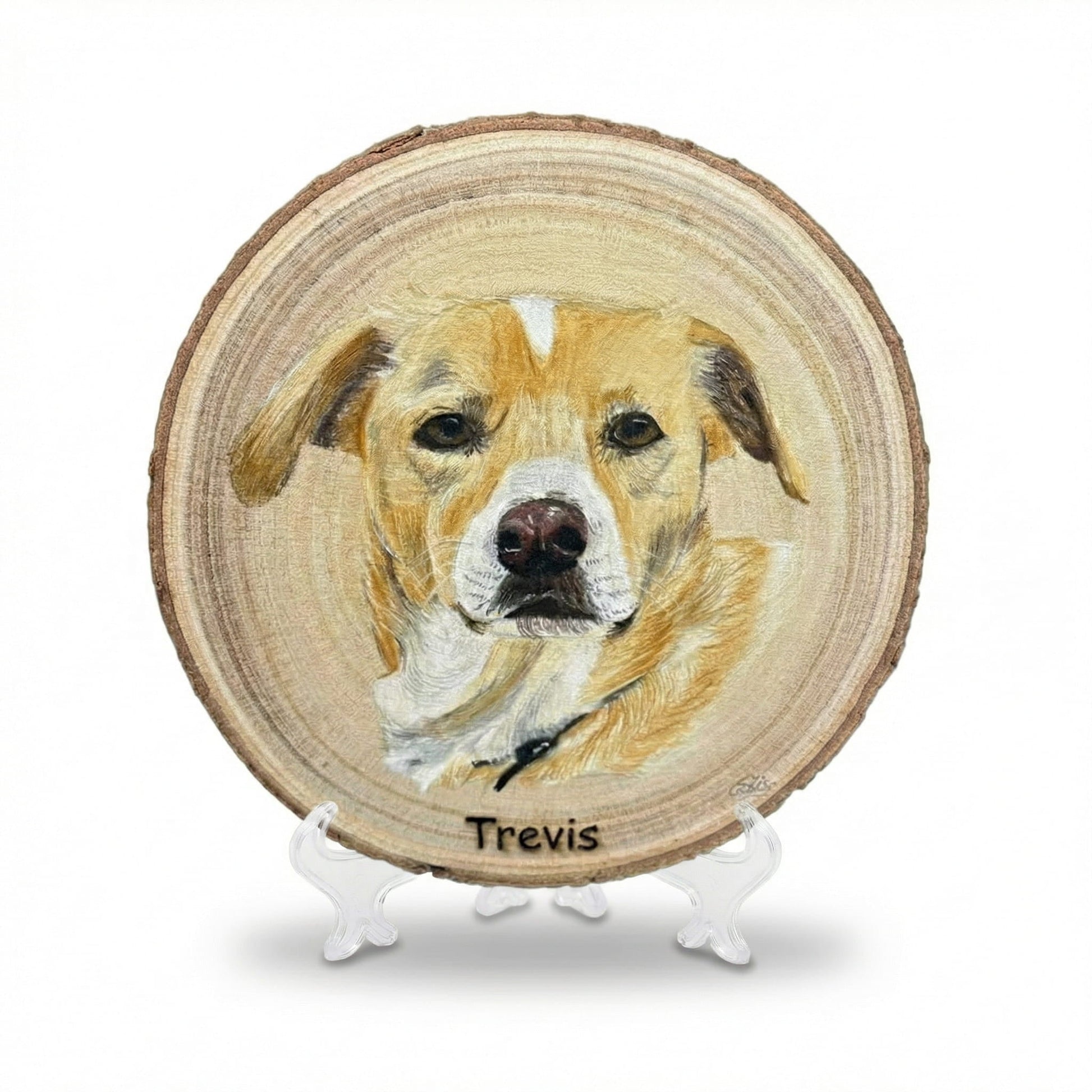 Pet Portraits on Wood - Art by Caitlin